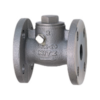 Stainless Steel General-Purpose 10K Swing Check (SCS13A) Valve Flange (UOB-25A)